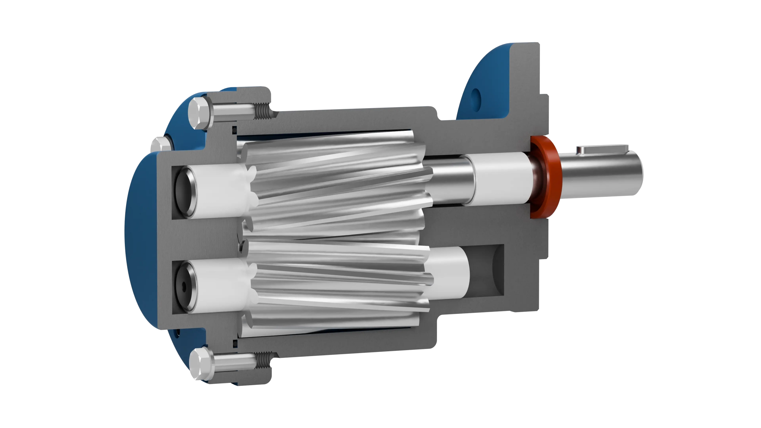 Sectional view of the F 590 flange gear pump with gears and shaft seal