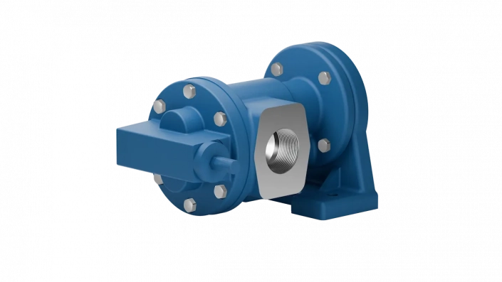 Zahnradfußpumpe Baureihe D